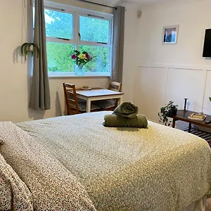 Bright And Comfortable Studio London